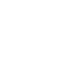 Flag Icon